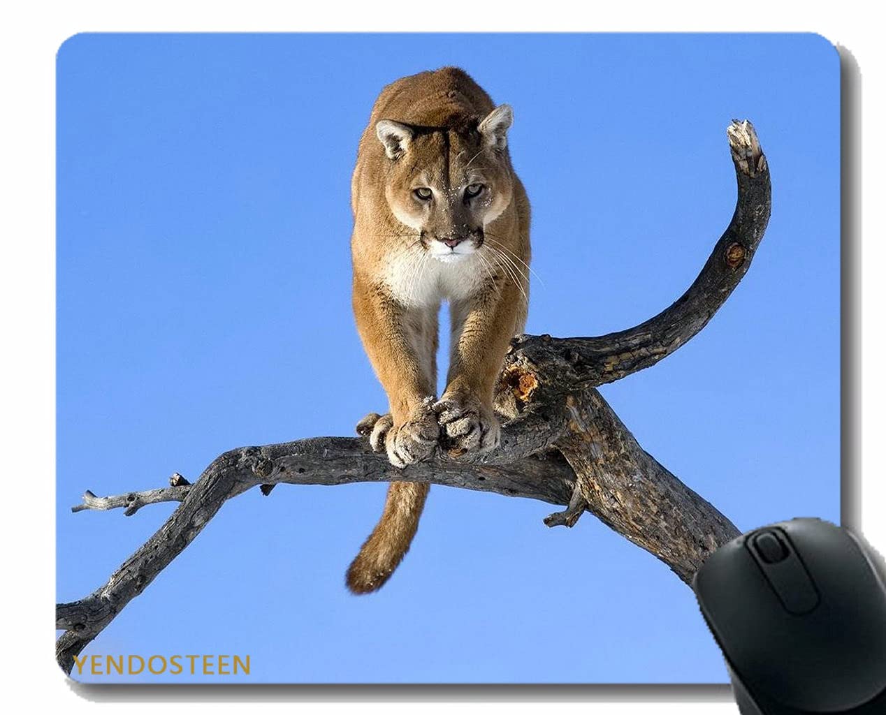 ヒグマ　マウスパッド ゲーミングマウスパッド ［420x490x4mm］ NINJA FX ヒエン SOFT